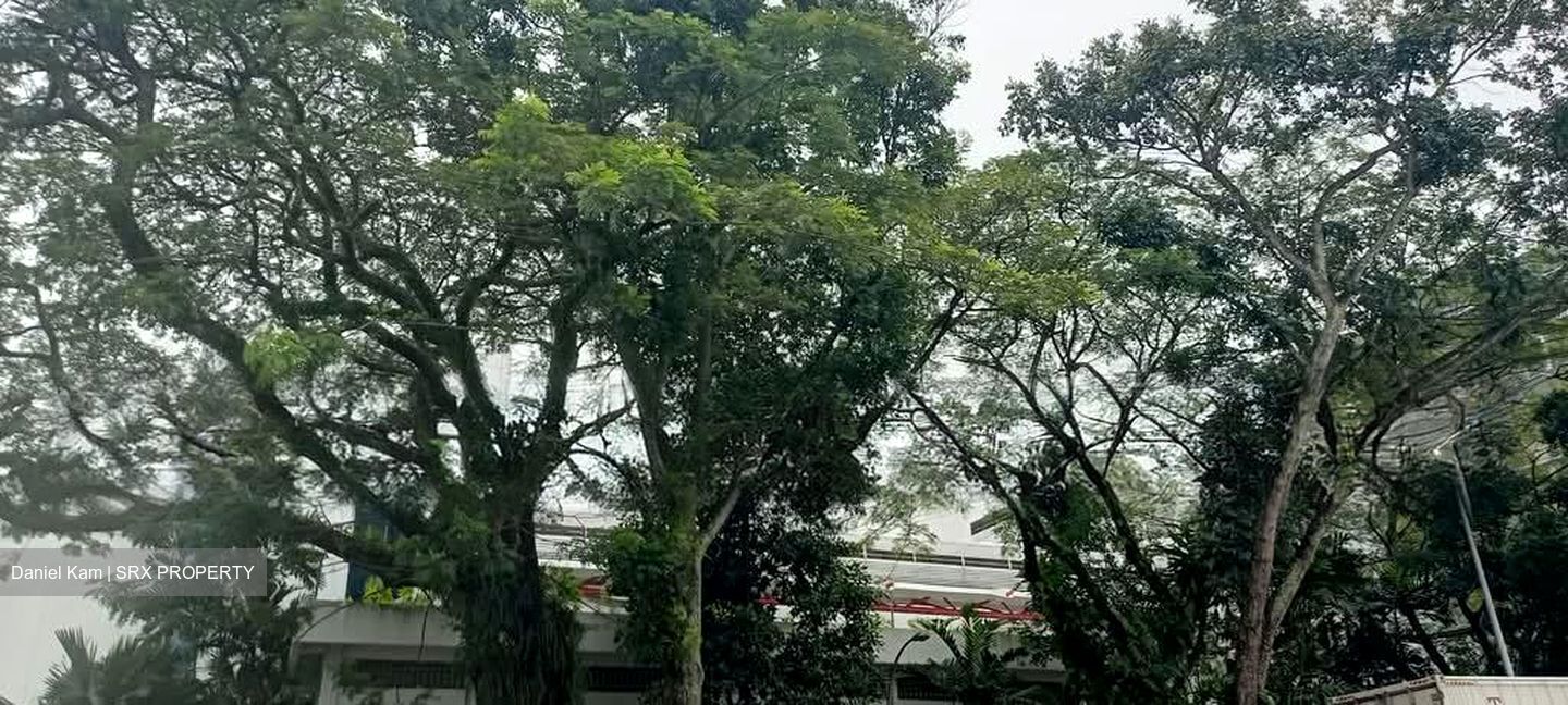 Tuas Road (D22), Warehouse #587553851